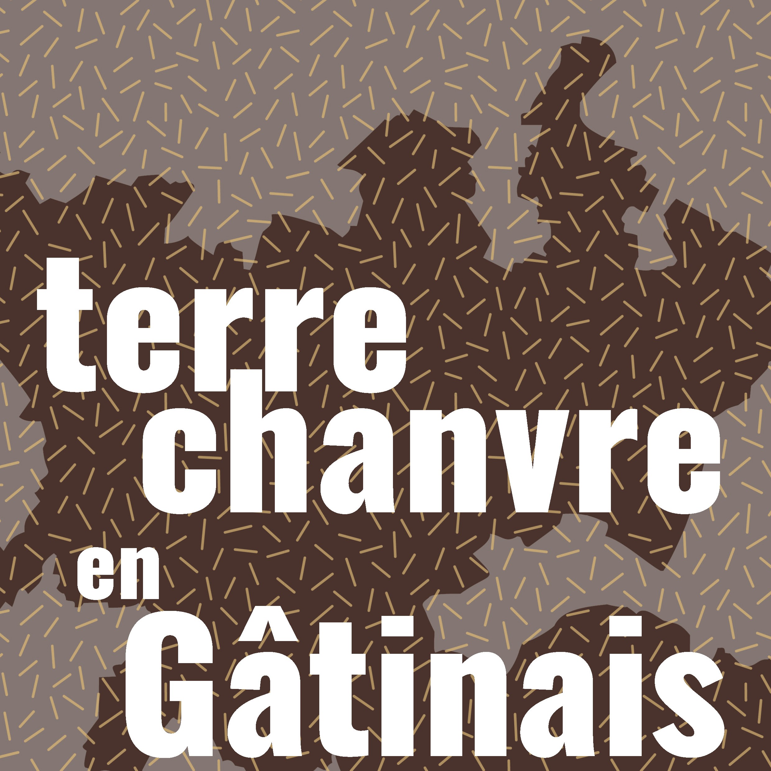 Terre-chanvre en Gâtinais : enquête sur une filière en devenir